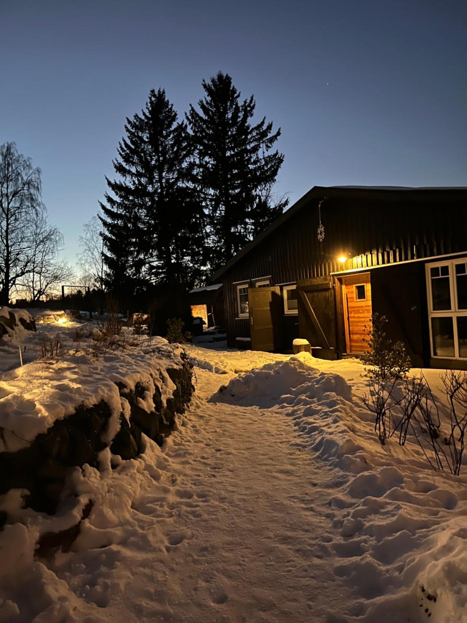 Berglage - Das Urlaubzuhause Braunlage Zewnętrze zdjęcie